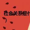 社會關系是什么意思怎么填（社會關系是什么）
