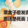 菜盒子是發面還是死面哪個是好（菜盒子是發面還是死面）