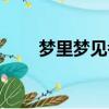 夢里夢見考試沒過（夢見考試沒過）