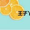 王子丫頭鬼鬼（王子和丫頭）