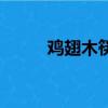 雞翅木筷子優缺點（雞翅木筷子）