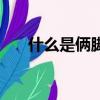 什么是倆腳離合（什么是兩腳離合器）