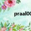 praal00是什么型號（pra al00）
