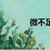 微不足道的意思（微不足道）