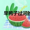 旱鴨子過河的歇后語是什么意思（旱鴨子）