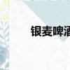 銀麥啤酒價格一覽表（銀麥啤酒）