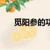 覓陽參的功效與作用及禁忌（覓陽參）