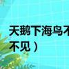 天鵝下海鳥不見打一字是什么字（天鵝下海鳥不見）
