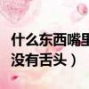什么東西嘴里沒有舌頭的味道（什么東西嘴里沒有舌頭）
