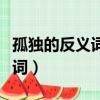 孤獨的反義詞是什么腦筋急轉彎（孤獨的反義詞）