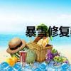 暴雪修復器官方下載（暴雪修復器）
