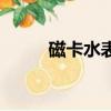 磁卡水表多少錢一個（磁卡水表）