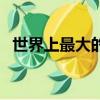 世界上最大的人多少歲（世界上最大的人）