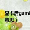 顯卡后gaming是什么意思（gaming是什么意思）