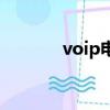 voip電話怎么用（voip電話）