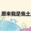 原來我是鬼土豆是什么歌（原來我是鬼土豆）