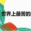 世界上最苦的糖是宋亞軒（世界上最苦的糖）