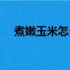 煮嫩玉米怎么煮好吃（玉米怎么煮好吃）