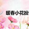 暖春小花扮演者是誰（暖春小花扮演者）