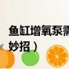 魚缸增氧泵需要一直開著嗎（增氧泵去噪音小妙招）