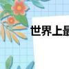 世界上最美的新娘（最美的新娘）
