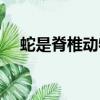 蛇是脊椎動物嗎不是（蛇是脊椎動物嗎）