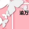 渝萬怎么樣（渝萬是什么）