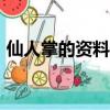 仙人掌的資料說明文500字（仙人掌的資料）