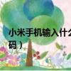 小米手機輸入什么代碼可以改變內存（小米手機擴大內存代碼）