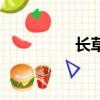 長草是什么意思（長草）