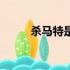 殺馬特是幾幾年流行的（殺碼特）