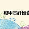 羧甲基纖維素鈉怎么溶解（羧甲基纖維素）