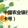 中國農業銀行身份證查卡號（身份證查詢農行卡號）