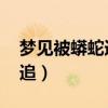 夢見被蟒蛇追是什么預兆 女性（夢見被蟒蛇追）
