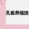 孔雀養殖技術視頻教程（孔雀養殖技術）