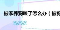 被家養狗咬了怎么辦(被狗咬了會怎么樣)