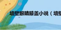 墻壁眼睛膝蓋小說(墻壁 眼睛 膝蓋)