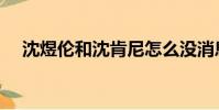沈煜倫和沈肯尼怎么沒消息啦(沈煜倫)