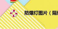 防爆燈圖片(隔爆燈)