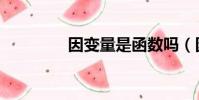 因變量是函數嗎(因變量)