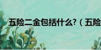 五險二金包括什么?(五險二金包括什么)