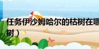 任務伊沙姆哈爾的枯樹在哪里(伊沙姆哈爾枯樹)