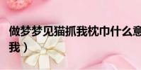 做夢夢見貓抓我枕巾什么意思(做夢夢見貓抓我)