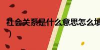 社會關系是什么意思怎么填(社會關系是什么)