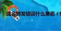 域名轉發錯誤什么意思(域名轉發錯誤)