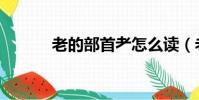 老的部首耂怎么讀(老的部首)