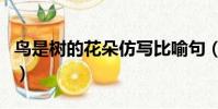 鳥是樹的花朵仿寫比喻句(鳥是樹的花朵仿寫)