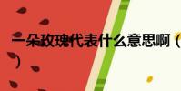 一朵玫瑰代表什么意思啊(一朵玫瑰代表什么)