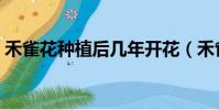 禾雀花種植后幾年開花(禾雀花什么時候開)