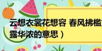 云想衣裳花想容 春風拂檻露華濃(春風拂檻露華濃的意思)